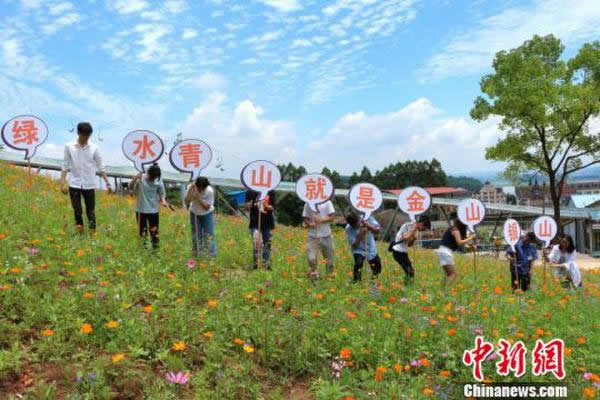 重庆花海树“钱币符号”雕塑 呼吁市民重视环境保护